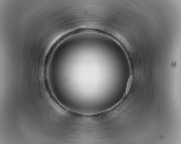 X0000091920976200709051436