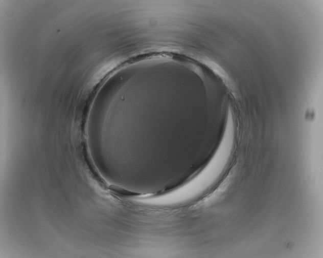 X0000091920977200709051436