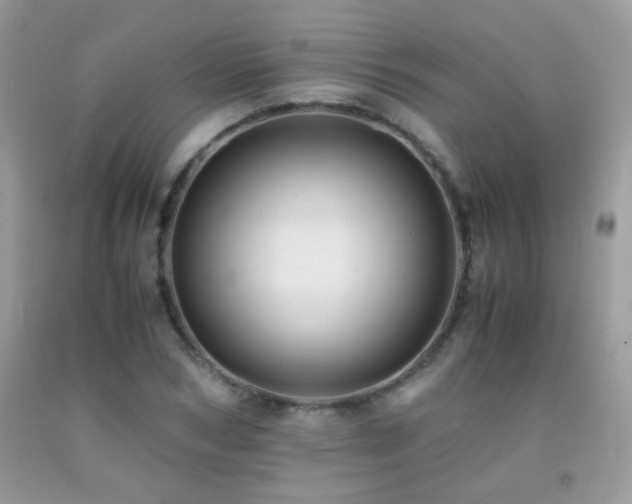 X0000091920978200709051436