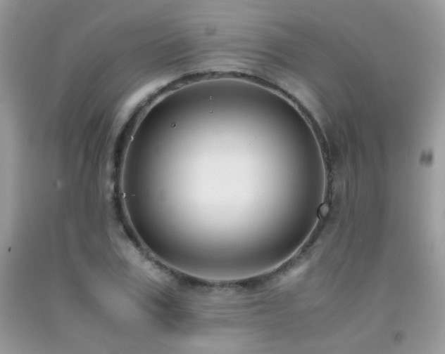 X0000091920979200709051436