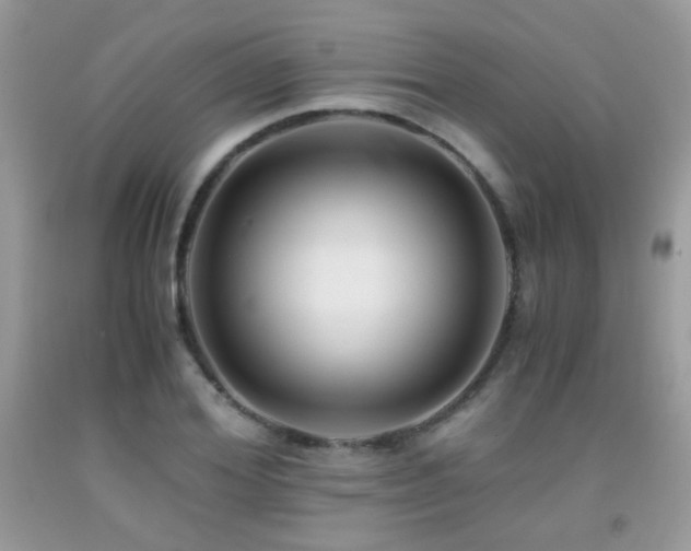X0000091920980200709051436