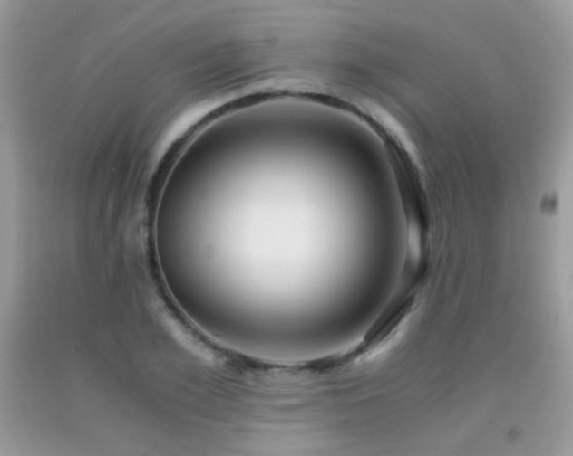 X0000091920981200709051436