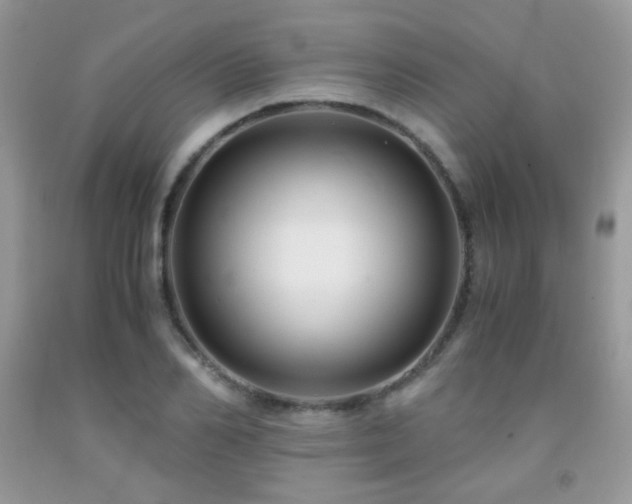 X0000091920982200709051436