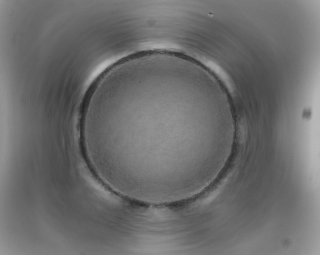 X0000091920983200709051436