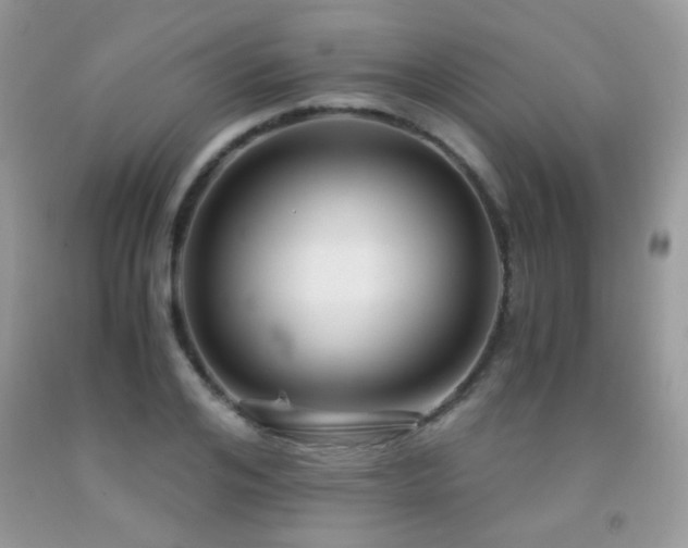 X0000091920984200709051436