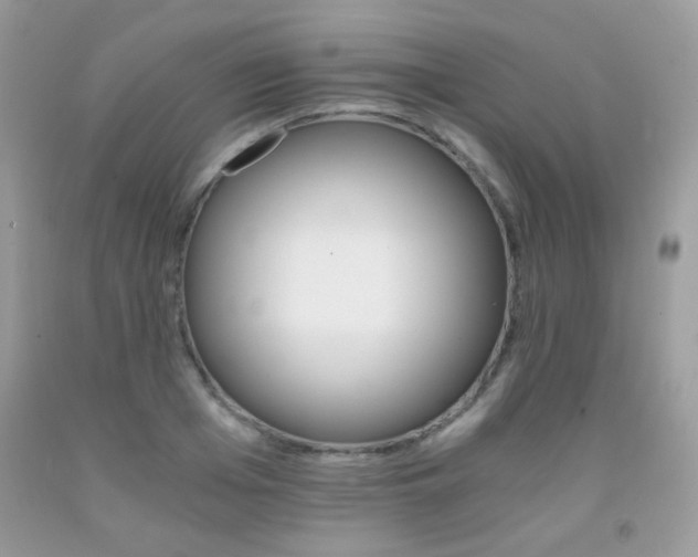 X0000091920985200709051436