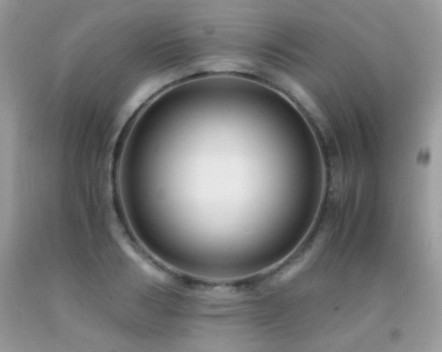X0000091920986200709051436