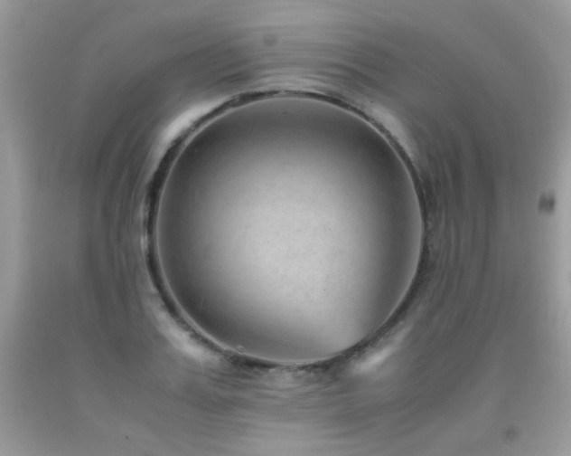 X0000091920987200709051436