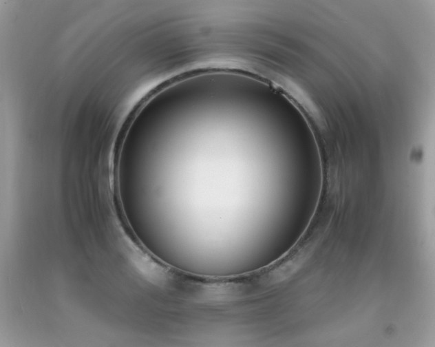 X0000091920988200709051436