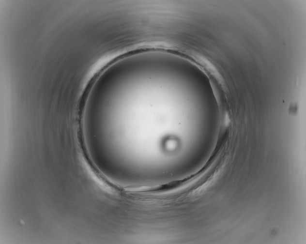 X0000091920989200709051436