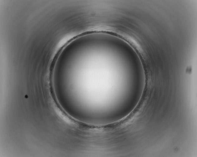 X0000091920990200709051436