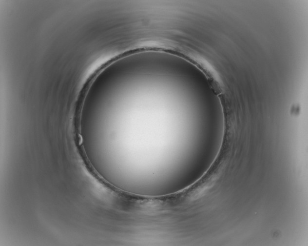 X0000091920991200709051436