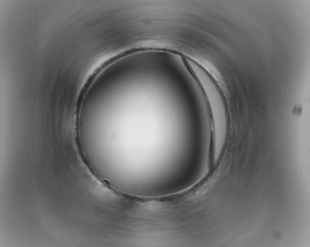 X0000091920992200709051436
