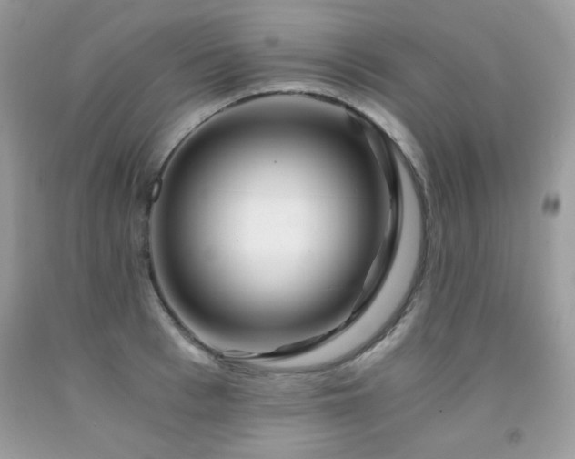X0000091920993200709051436
