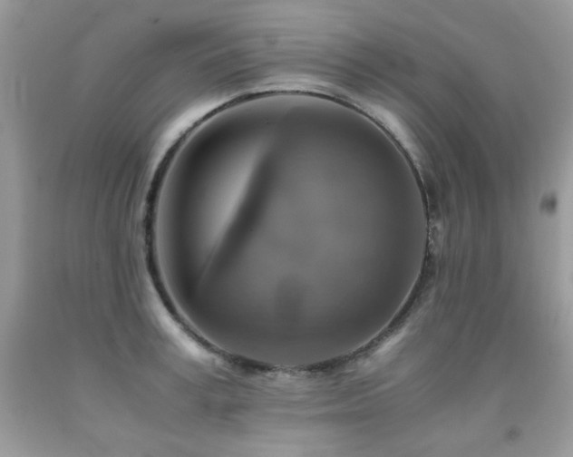 X0000091920995200709051436