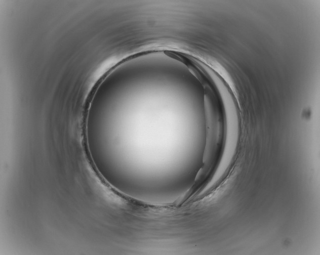 X0000091920997200709051436