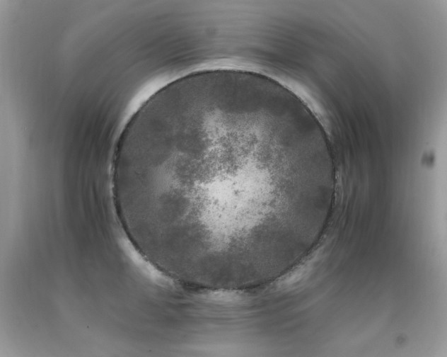 X0000091920998200709051436
