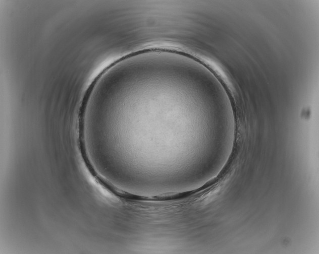X0000091920999200709051436