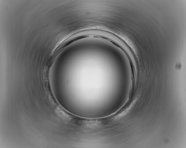 X0000091921001200709051436