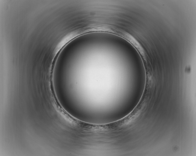 X0000091921002200709051436