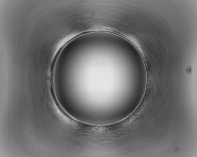 X0000091921003200709051436