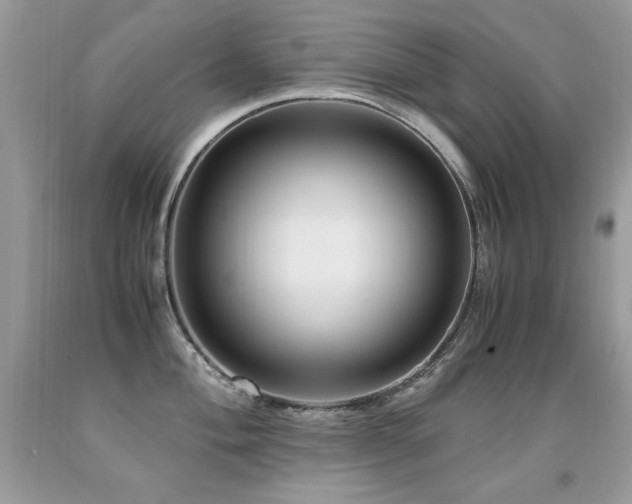 X0000091921004200709051436