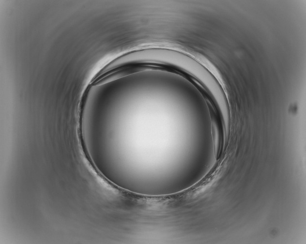 X0000091921005200709051436