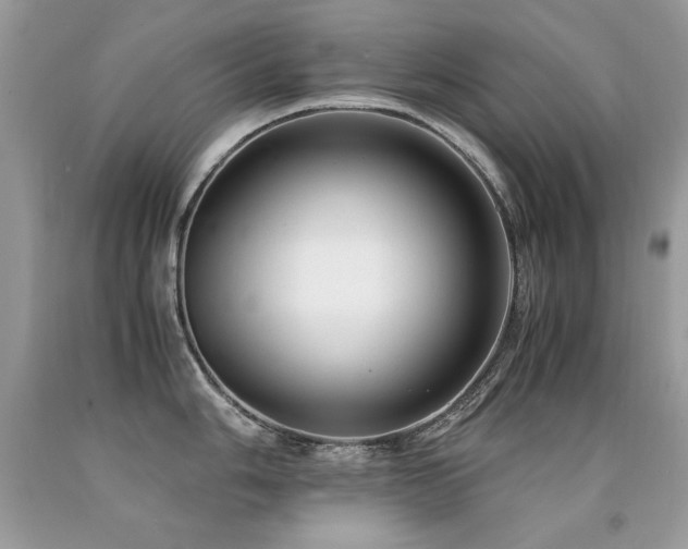 X0000091921006200709051436