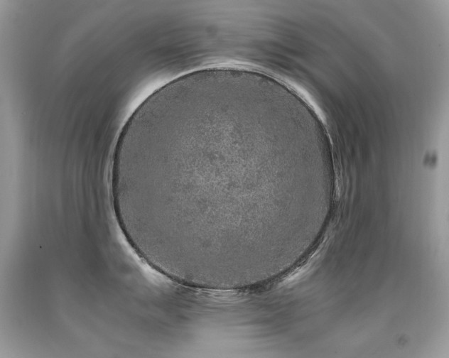 X0000091921007200709051436