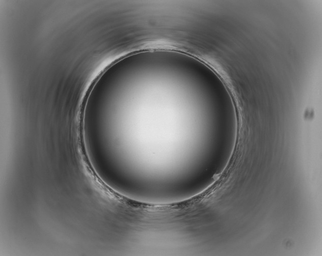 X0000091921008200709051436