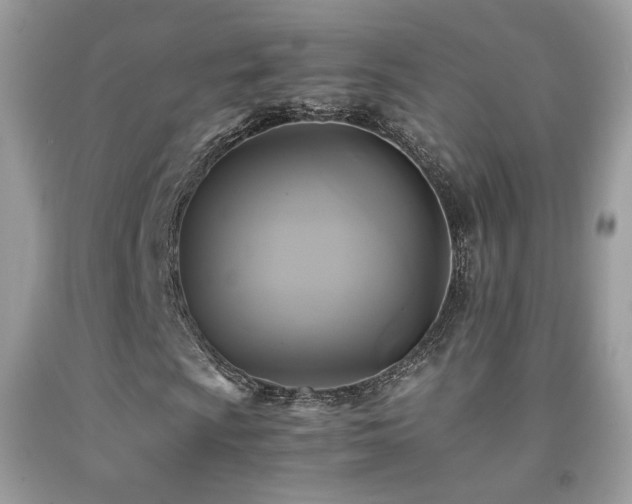 X0000091921009200709051435