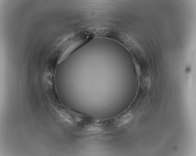 X0000091921010200709051435