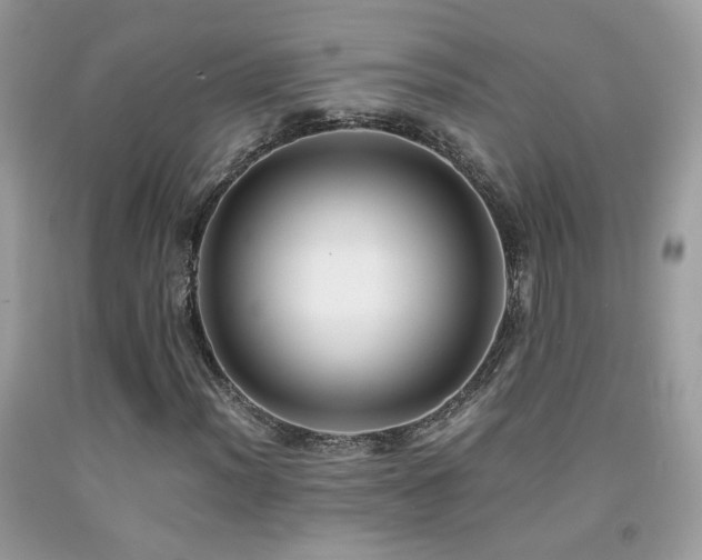 X0000091921012200709051435