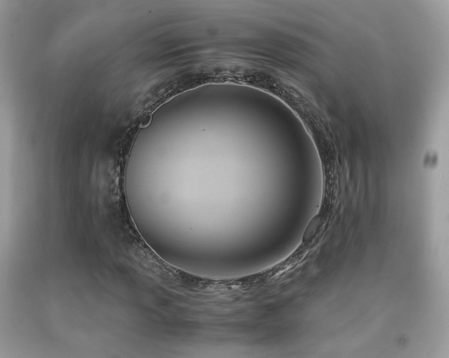 X0000091921013200709051435