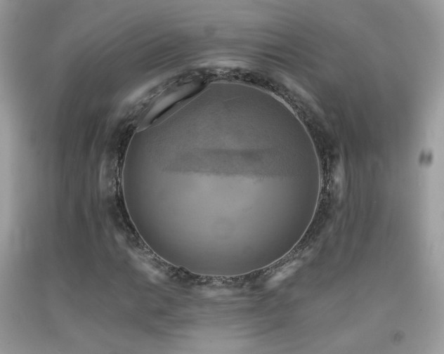 X0000091921014200709051435