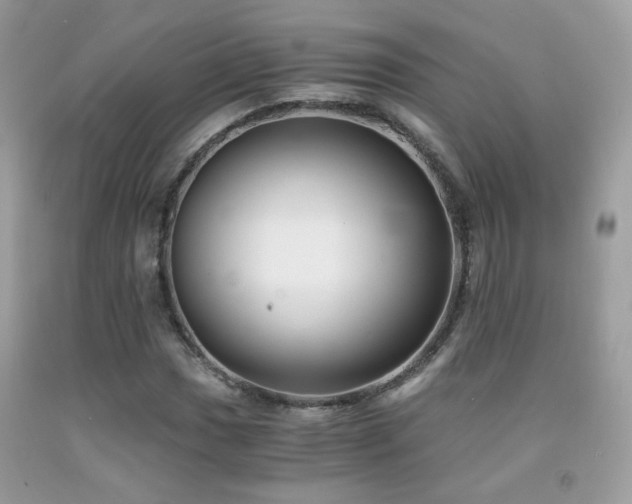 X0000091921017200709051435