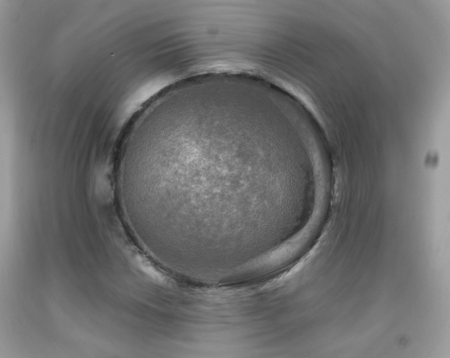X0000091921018200709051435