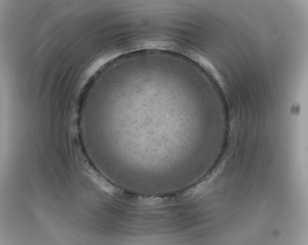 X0000091921019200709051435