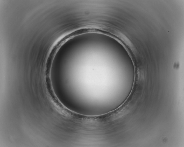 X0000091921020200709051435