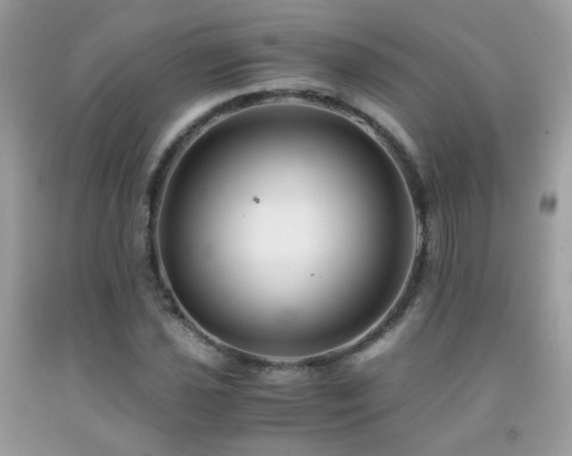 X0000091921021200709051435
