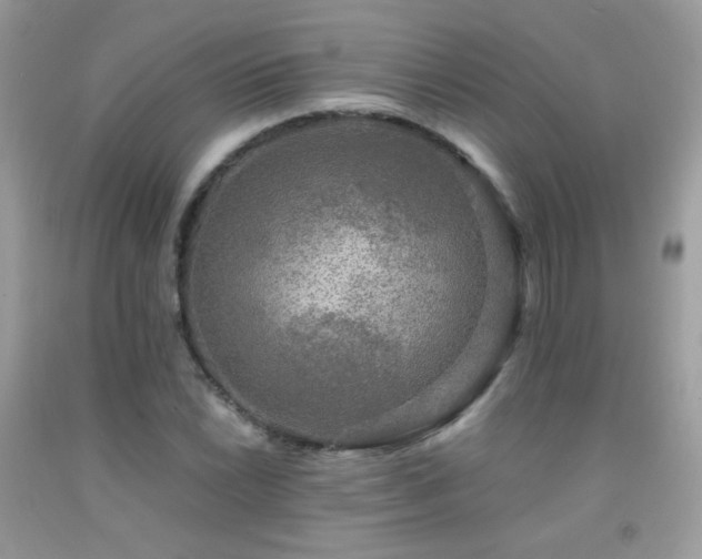 X0000091921022200709051435