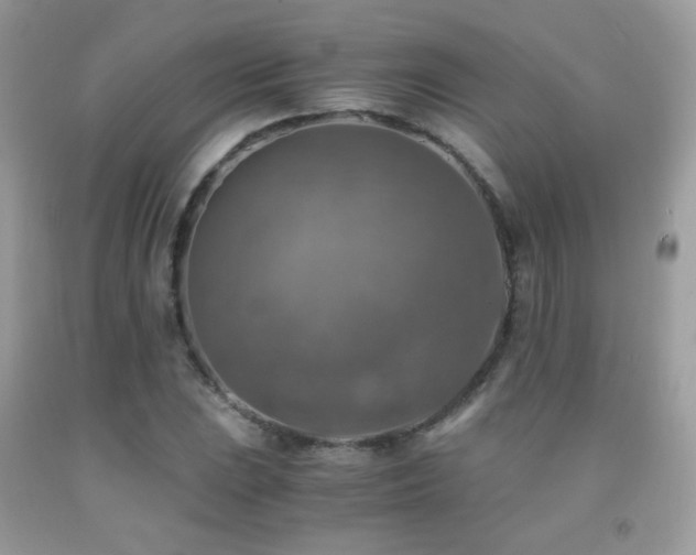 X0000091921023200709051435