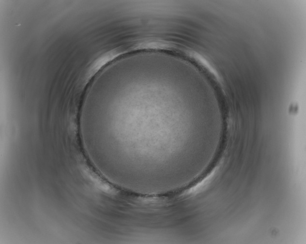 X0000091921025200709051435