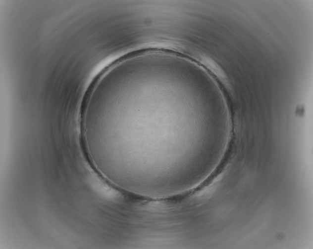 X0000091921028200709051435