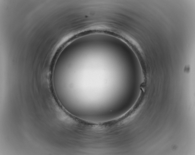 X0000091921029200709051435