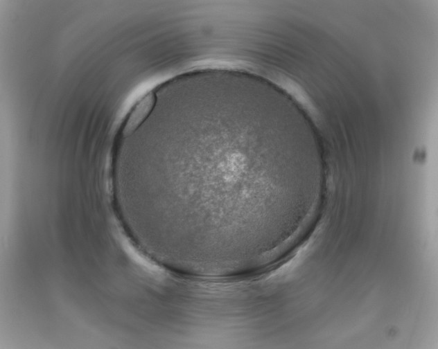 X0000091921030200709051435