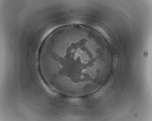 X0000091921031200709051435