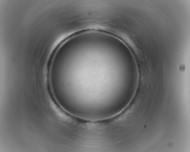 X0000091921032200709051436