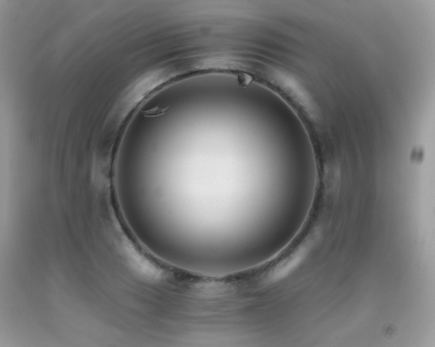 X0000091921033200709051436