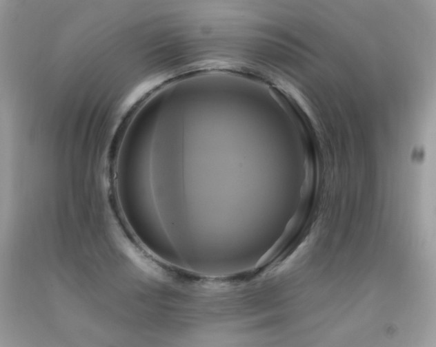X0000091921034200709051436